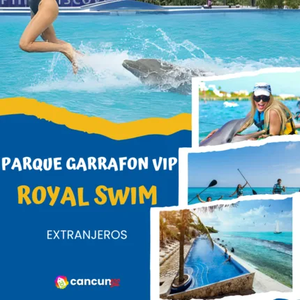 Parque Garrafón Royal Swim + Garrafón VIP Extranjero en Isla Mujeres