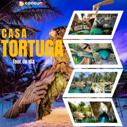 Casa TORTUGA 🐢 TOUR de Dia