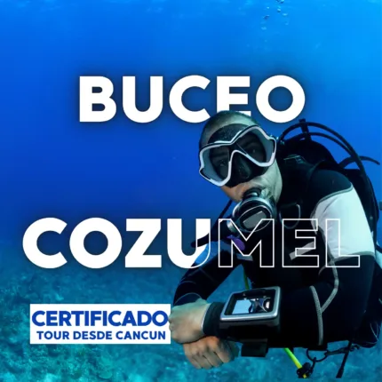 Buceo en Cozumel – Principiante o Certificado Extranjero